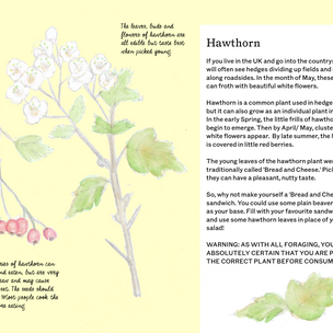 A Year & a Day Issue No 17 Rivers | Conscious Craft