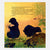 Illustration of two moles and a fairy with text on a yellow background