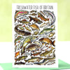 Freshwater fish of Britain 