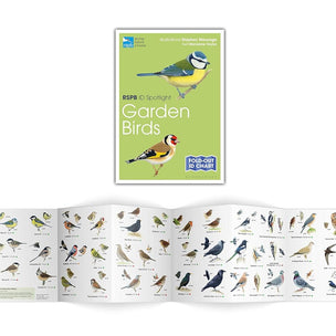 RSPB ID Spotlight | Garden Birds