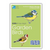 RSPB ID Spotlight | Garden Birds