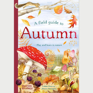 Field Guide To Autumn | Conscious Craft