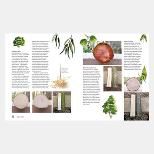 Page from a magazine or book with images of plants and objects, featuring text on a white background.