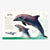 DK Anthology of Intriguing Animals
