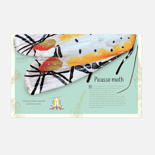 An educational poster about the Picasso moth, featuring a large close-up of the moth's patterned wings on the left and text on the right against a pale mint background.