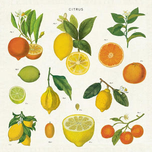 Vintage Napkins | Citrus