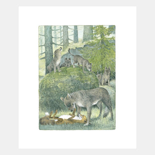Illustration of wolves in a forest with a deer