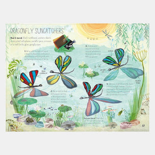 Illustration of dragonfly suncatchers craft project with materials and steps.
