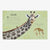 DK Anthology of Intriguing Animals
