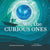 We, the Curious Ones | Conscious Craft
