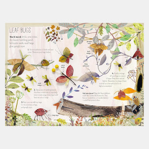 Illustration of leaf bugs with a detailed description and diagram on a white background