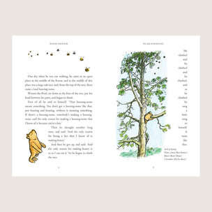 Illustrated book page with a bear climbing a tree and text on a light gray background