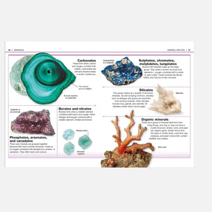 An educational mineral identification chart displaying various mineral specimens with labels, including agate, chrysocolla, sulfur, silicate, borates, phosphates, and organic coral.