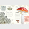 Anthology of Fungi