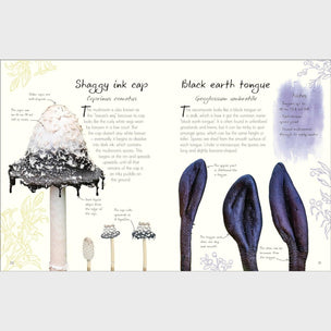 Anthology of Fungi