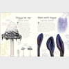 Anthology of Fungi