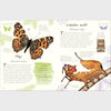 DK Anthology of Butterflies and Moths