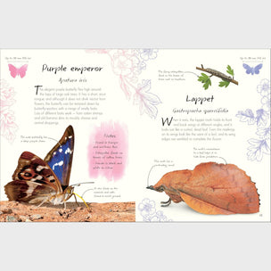 DK Anthology of Butterflies and Moths