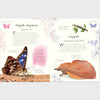 DK Anthology of Butterflies and Moths