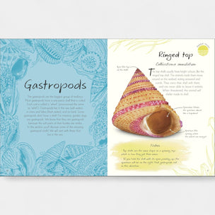 Book page with illustration of a shell and text on gastropods