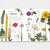 Educational poster about various types of flowers with illustrations and text on a white background.