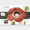 Detailed illustration of a plant parasite with explanatory text and images on a white background