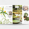 Book or magazine page with illustrations and text about plants and water, featuring images of leaves and a pond.
