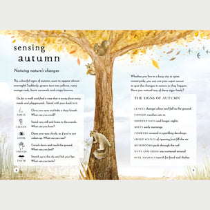 Field Guide To Autumn | Conscious Craft