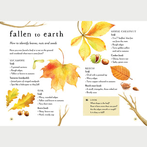 Field Guide To Autumn | Conscious Craft