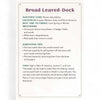 Informational card about Broad Leaved Dock with text on a white background