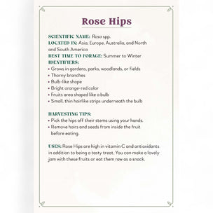 Informational card about Rose Hips with text on a white background