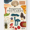 Fungarium postcards with colorful illustrations of mushrooms and insects on a beige background.
