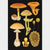 Illustration of various mushrooms on a black background