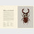 Insectarium | Welcome to the Museum 