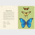 Insectarium | Welcome to the Museum 