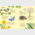 Things to Spot in Springtime | Usborne Minis