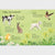 Things to Spot in Springtime | Usborne Minis