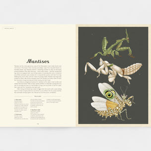 Book open to a page about mantises with illustrations on a gray background