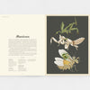 Book open to a page about mantises with illustrations on a gray background