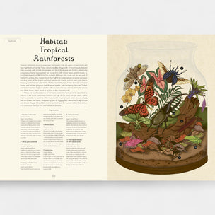 Illustration of a terrarium with various insects and plants, labeled 'Habitat: Tropical Rainforests'.