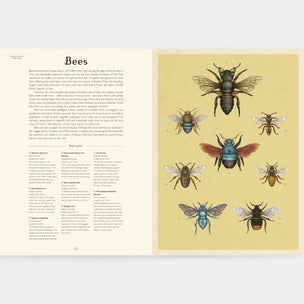 Book open to a page with illustrations of bees on a yellow background