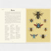 Book open to a page with illustrations of bees on a yellow background