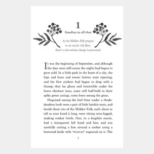 Page from a book with text and decorative elements on a white background