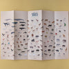 Animal Worlds | Poster & Stickers