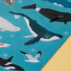 Animal Worlds | Poster & Stickers