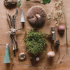 Grapat Avent Calendar 2025 Collection of natural elements including plants, stones, and conifer cones on a wooden surface.