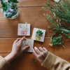 Grapat Avent Calendar 2025 Two hands arranging small cards with plants on a wooden table.