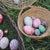 Aurora Eggs | Cold Colours