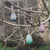 Aurora Eggs | Cold Colours