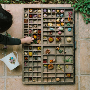 Grapat | Flower Meadow